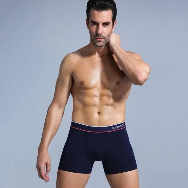 Boxer Men Boxer Shorts Men Underwear Male Men's Underwear Boxers Homme Cotton Boxershorts Panties Underpants Man for Family Sexy - Image 2