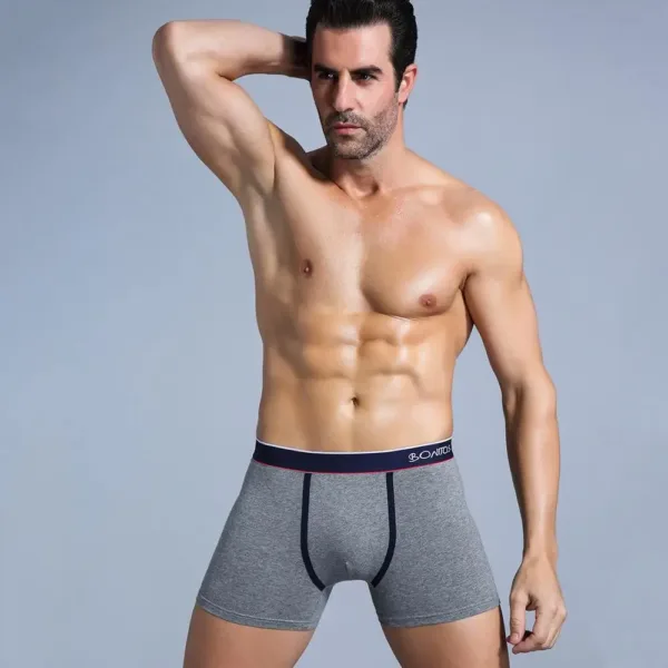 Boxer Men Boxer Shorts Men Underwear Male Men's Underwear Boxers Homme Cotton Boxershorts Panties Underpants Man for Family Sexy - Image 3