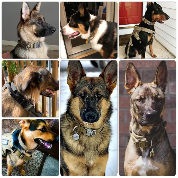 Dog Training Collar Adjustable Tactical Dog Collar And Leash Set Control Handle Pet Lead Collar For Small Big Dogs - Image 14