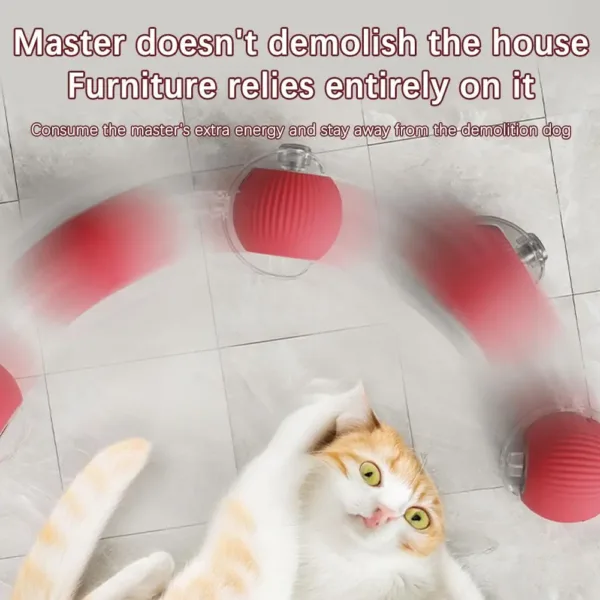 Interactive Cat Rolling Ball Super Drive Cat Rolling Balls With Bird Chirping Motion Activated Sensor Pet Kitten Teaser Game Toy - Image 2