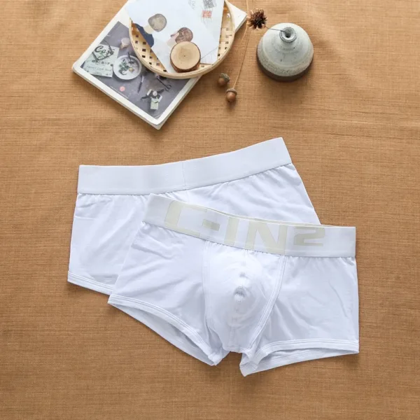Brand Men's Underwear Sexy Cotton Fashion Trend Personality Comfortable Breathable Letters Youth Boxer Briefs Underpants - Image 8