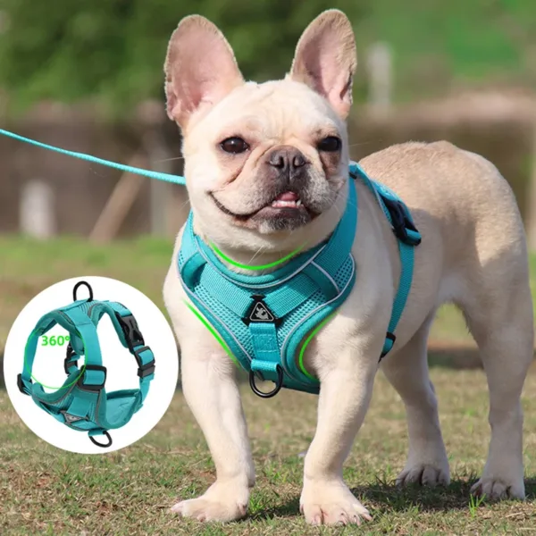 No Pull Dog Harness and Leash Set Adjustable Pet Harness Vest For Small Dogs Cats Reflective Mesh Dog Chest Strap French Bulldog - Image 12