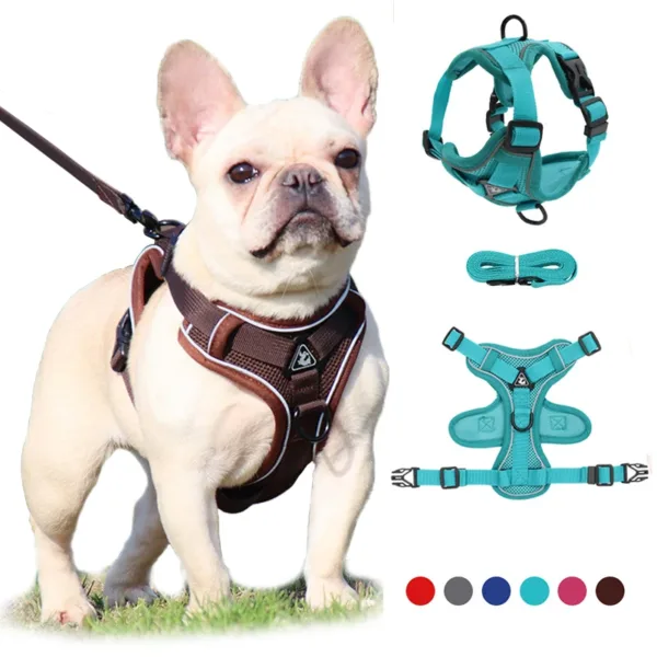 No Pull Dog Harness and Leash Set Adjustable Pet Harness Vest For Small Dogs Cats Reflective Mesh Dog Chest Strap French Bulldog - Image 7