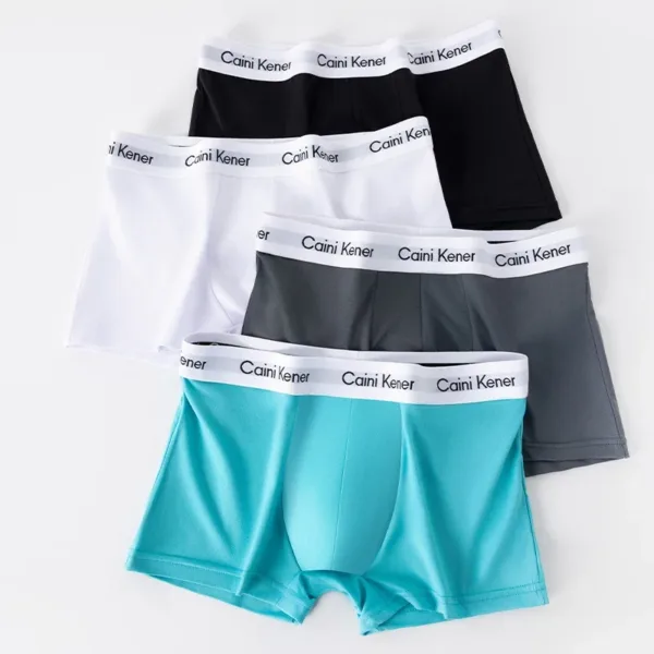 5Pcs/Lot Men's Shorts Brand Underwear Solid Color Sexy Boxer Shorts Breathable Comfortable High Stretch Soft Underwear Men L-3XL - Image 6