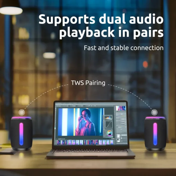 Stereo Portable Speaker