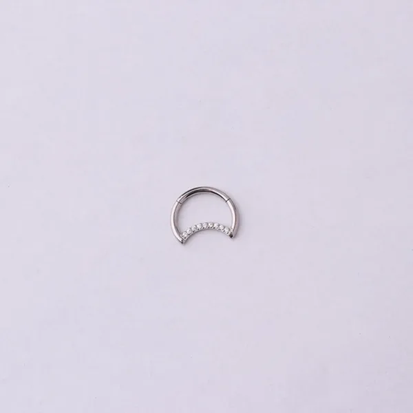 Hinged Nose Ring Jewelry - Image 6