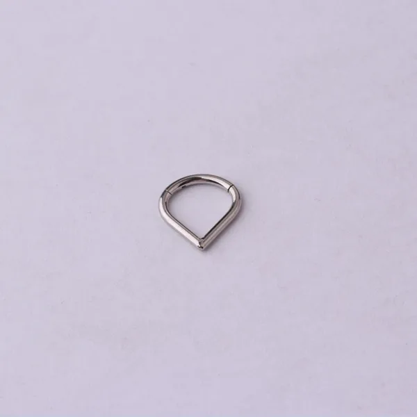 Hinged Nose Ring Jewelry - Image 19