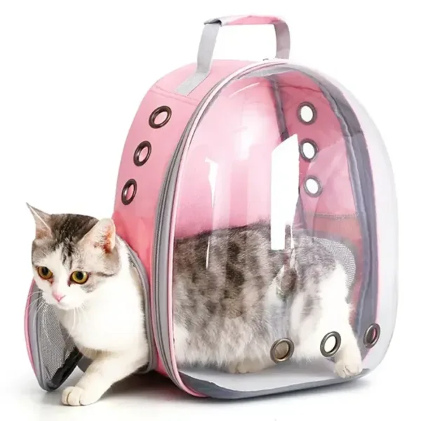 Cat backpack with a transparent bubble - Image 9