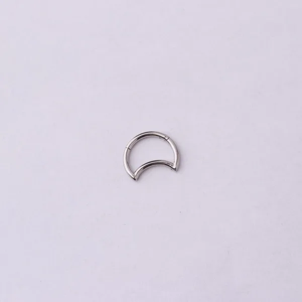 Hinged Nose Ring Jewelry - Image 10