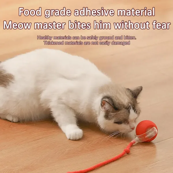 Interactive Cat Rolling Ball Super Drive Cat Rolling Balls With Bird Chirping Motion Activated Sensor Pet Kitten Teaser Game Toy - Image 4
