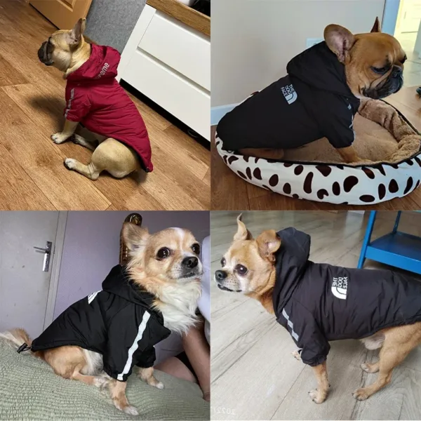 Winter Dog Clothes Warm Fleece Pet Dogs Jacket Reflective Waterproof For Small Medium Dogs Chihuahua French Bulldog Coat Pug - Image 5