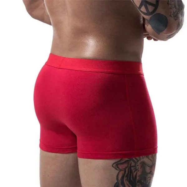 6Pieces/High Quality Men's Underwear Sexy Boxer Shorts Business Solid Color Soft Combed Cotton Breathable Men's Underwear M-3XL - Image 4