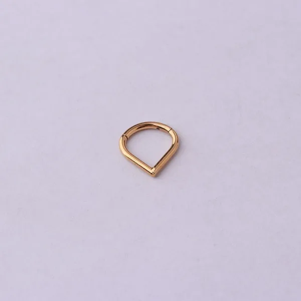 Hinged Nose Ring Jewelry - Image 11