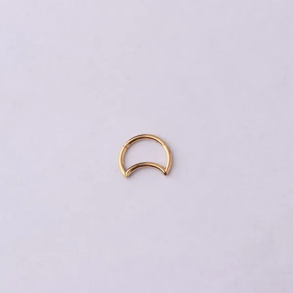 Hinged Nose Ring Jewelry - Image 12