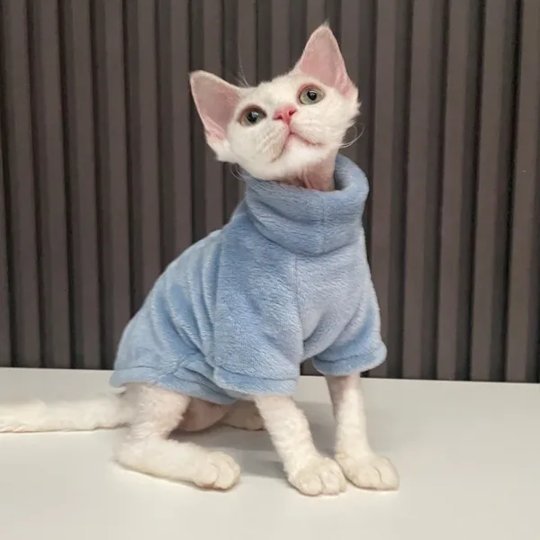 Turtleneck Cat Sweater Coat Winter Warm Hairless Cat Clothes Soft Fluff Pullover Shirt for Maine-Coon Cat Chihuahua Pet Clothing - Image 4