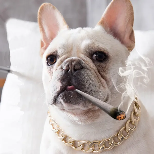Metal Dog Training Collars Luxury Pet Dog Collar Gold Chain Necklace For Bulldog Small Medium Dogs Cat Costume Accessories - Image 2