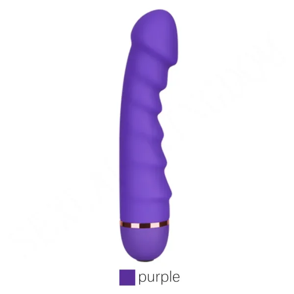 Women's Vibrator Dildo Toy