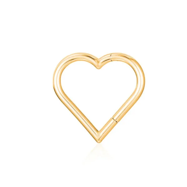 Hinged Nose Ring Jewelry - Image 20