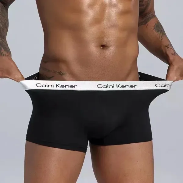 4Pcs/Lot Men's Underwear Boxer Fashion Sexy Underwear Antibacterial Soft Comfortable Underwear Brand Boxer Shorts Men's Panties - Image 8