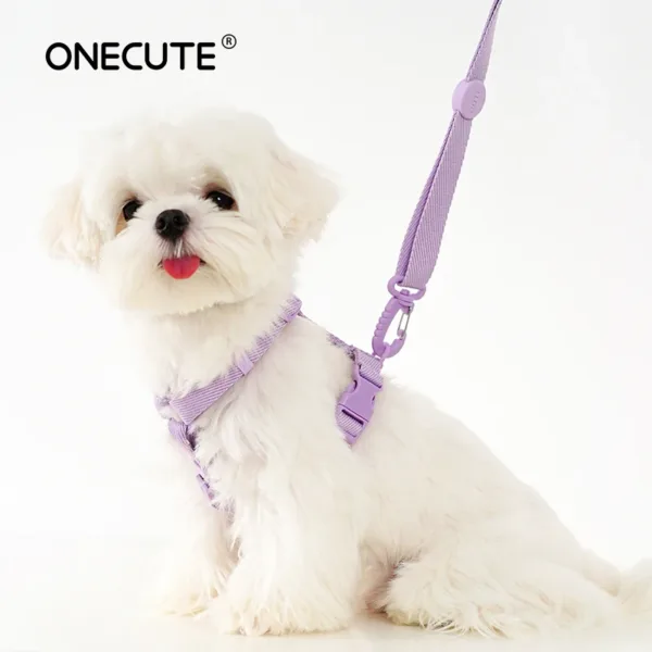 dog harness dog collar dog leash Macarone color cat accessories pet small dog accessories small dog harnessdog supplies - Image 14