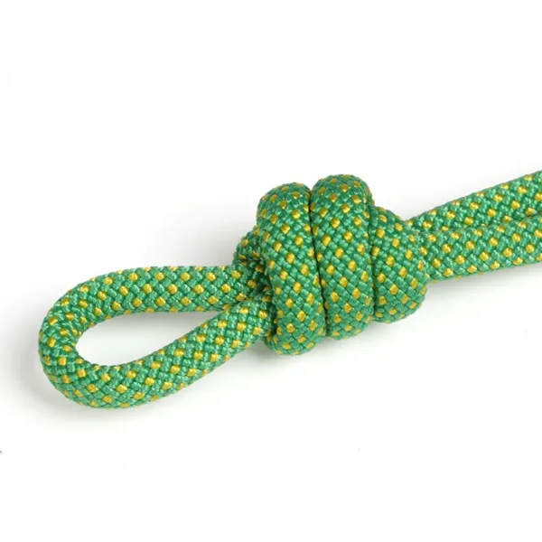 Climbing Rope Portable 6mm Non-slip Downhill Rope for Survival Parachute Cord Lanyard Camping Climbing Rope Hiking Clothesline - Image 11