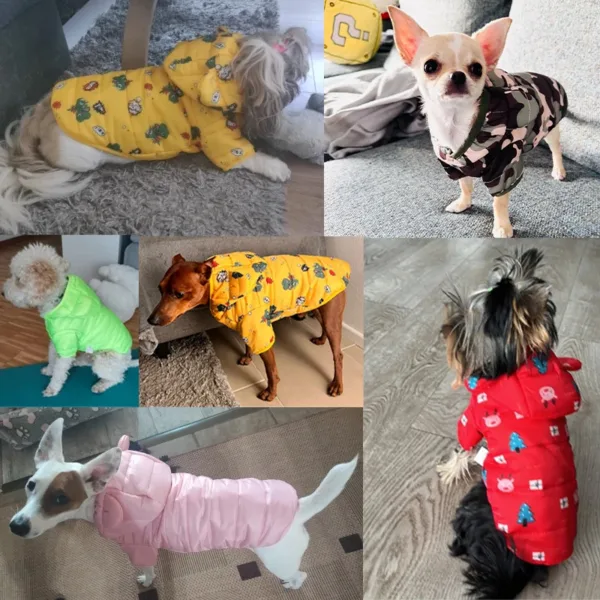 Winter Pet Dog Down Jacket Windproof Warm Dogs Clothes for Small Medium Dogs Cats Puppy Coat Chihuahua Shih Tzu Costume Yorkies - Image 5