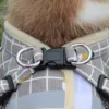 Nylon Puppy Harness Vest with Leash Breathable Reflective Pet Dogs Cats Harness for Chihuahua French Bulldog Collar Dog Supplies