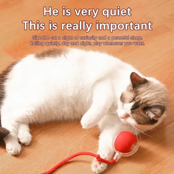 Interactive Cat Rolling Ball Super Drive Cat Rolling Balls With Bird Chirping Motion Activated Sensor Pet Kitten Teaser Game Toy - Image 5