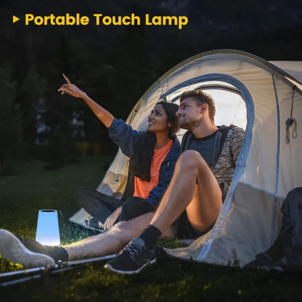 13 Color LED Changing Night Light RGB Remote Control Touch Dimmable Lamp Portable Table Bedside Lamp USB Rechargeable Night Lamp - Image 7