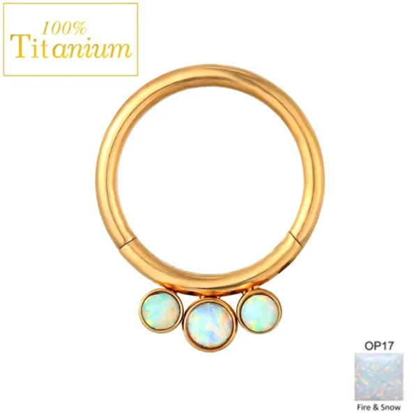Titanium Septum Nose Rings - Image 35
