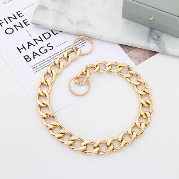 Metal Dog Training Collars Luxury Pet Dog Collar Gold Chain Necklace For Bulldog Small Medium Dogs Cat Costume Accessories - Image 5