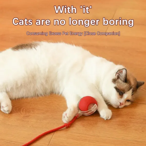 Interactive Cat Rolling Ball Super Drive Cat Rolling Balls With Bird Chirping Motion Activated Sensor Pet Kitten Teaser Game Toy - Image 9
