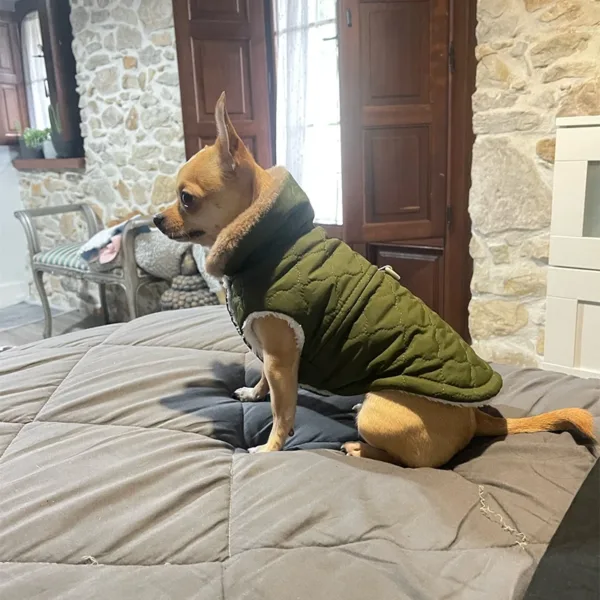 Warm Fleece Dog Jacket Vest Winter Dog Clothes Puppy Cats French Bulldog Coat Chihuahua York Pet Apparel for Small Medium Dogs - Image 7