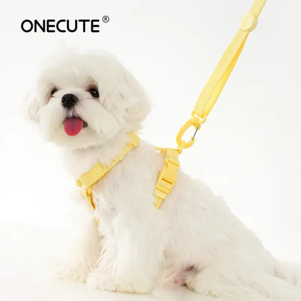 dog harness dog collar dog leash Macarone color cat accessories pet small dog accessories small dog harnessdog supplies - Image 6