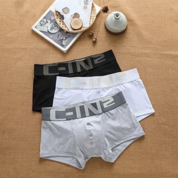 Brand Men's Underwear Sexy Cotton Fashion Trend Personality Comfortable Breathable Letters Youth Boxer Briefs Underpants - Image 2