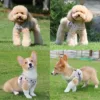 Nylon Puppy Harness Vest with Leash Breathable Reflective Pet Dogs Cats Harness for Chihuahua French Bulldog Collar Dog Supplies - Image 2