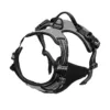 Adjustable Dog Harness Vest with Night Reflective Strip for Small Medium and Large Dogs for Outdoor Walking - Image 7