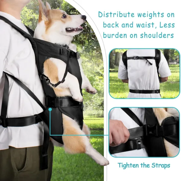 Pet Front Carrier Backpacks Ajustable Hands Free Dog Backpack For Small Mediun Dogs Breathable Cats Outdoor Travel Carrier Bags - Image 2