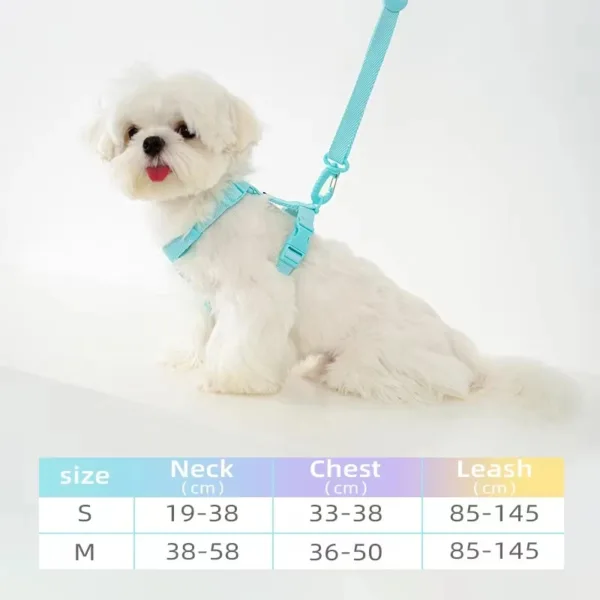 dog harness dog collar dog leash Macarone color cat accessories pet small dog accessories small dog harnessdog supplies - Image 17