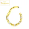 Titanium Septum Nose Rings - Image 9