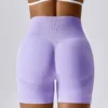Women Shorts Seamless Sports Shorts For Women Cycling Jogging Fitness High Waist Push Up Gym Shorts Leggings Women Yoga Clothing - Image 2