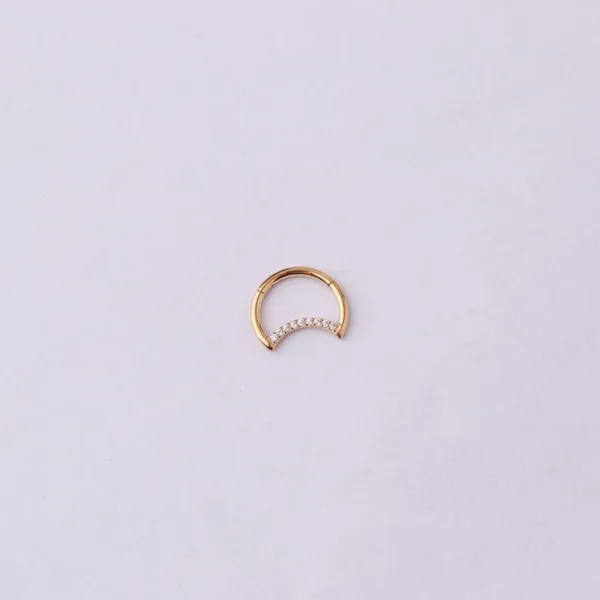 Hinged Nose Ring Jewelry - Image 5