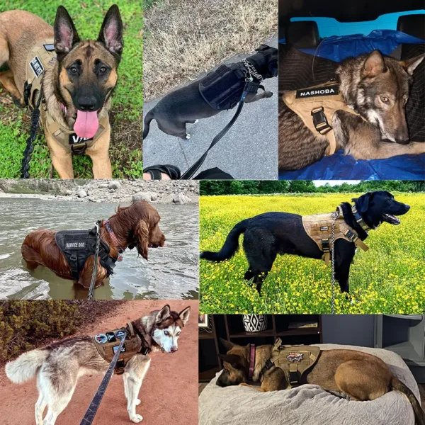 Large Dog Harness And Leash Set Pet German Shepherd Malinois Training Walking Vest Dog Harness And Collar For Medium Large Dogs - Image 4