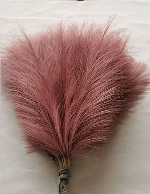 Faux Pampas Grass Beige 10PCS,Small Artificial Pompas Grass Decor for Vase,Fake Fluffy Pampas Floral for Home Wedding Boho Decor - Image 12