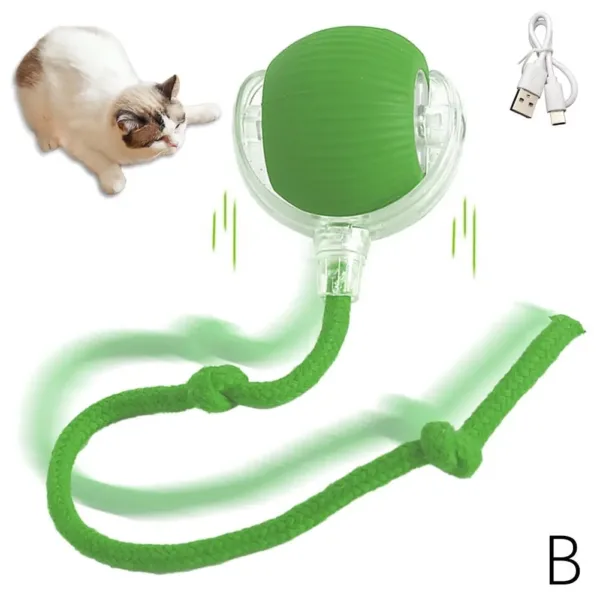 Interactive Cat Rolling Ball Super Drive Cat Rolling Balls With Bird Chirping Motion Activated Sensor Pet Kitten Teaser Game Toy - Image 7