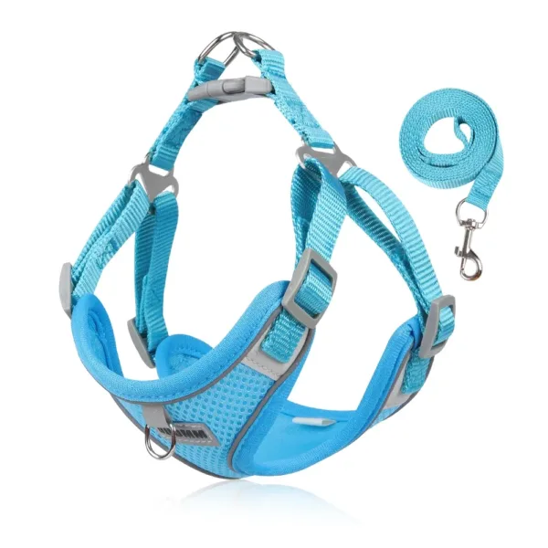 Dog Harness Leash Set for Small Medium Dog Cat Chest Strap Reflective Dog Clothes Vest Set Chihuahua Outdoor Walking Pet Supplie - Image 9