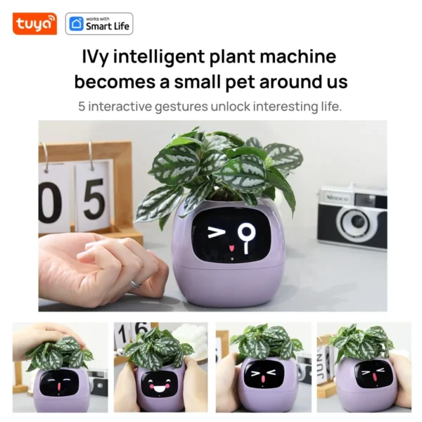 Tuya Ivy Smart Planter,Endless Fun Over 49 Rich Expressions,7 smart sensors,AI Chips Make Raising Plants Easy and Fun - Image 5